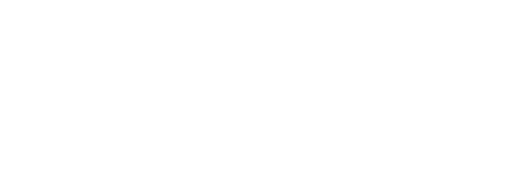 logo Standard 20 years