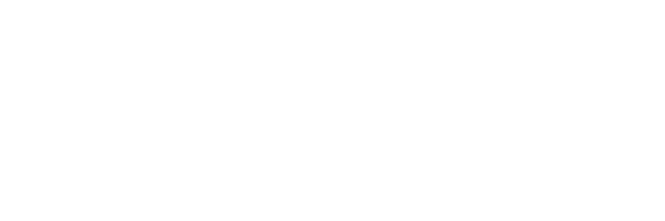 logo Standard 20 years